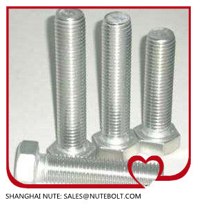 Hex Bolt Stainless Steel 304 316 DIN931 DIN933 ANSI