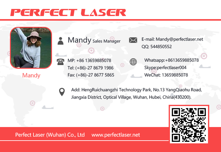 Europe Export High Precision Fiber Laser Marking Machine Laser Engraver for Pens