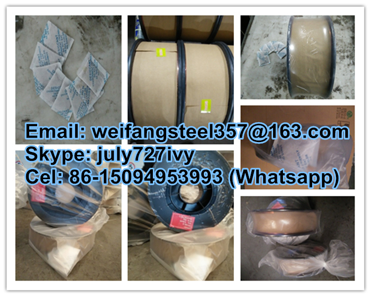 Er70s-6 Welding Wire Sg2 Copper Wire Welding Product with Golden Bridge Quality