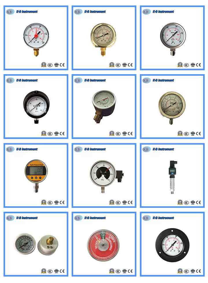 100mm Electric Contact Pressure Gauge Manometer with Diaphragm Clamp Type SS316L Material