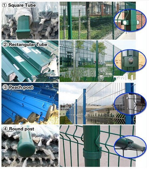 Cheap PVC Coated Welded Wire Mesh Fence for Sale