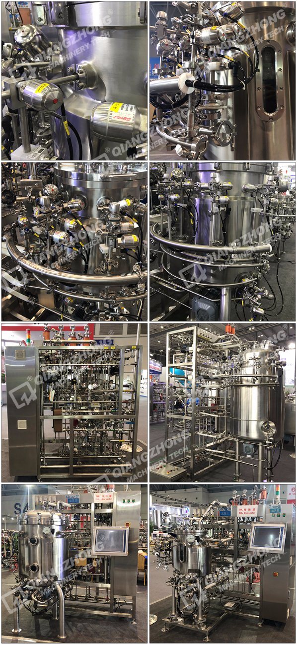 Fluidized Bed Bioreactor for Hepatocytes Cell Culture