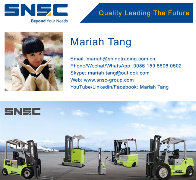 Japan Engine New China 4t Diesel Forklift