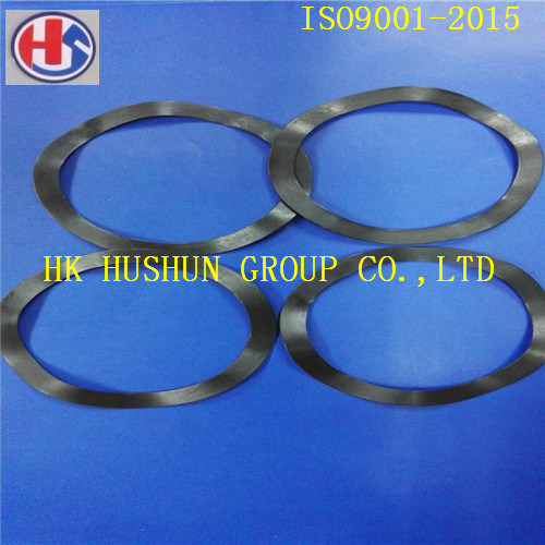 Supply Carbon Spring Steel Spring Washer Used for Ball Bearing (HS-SW-6203)