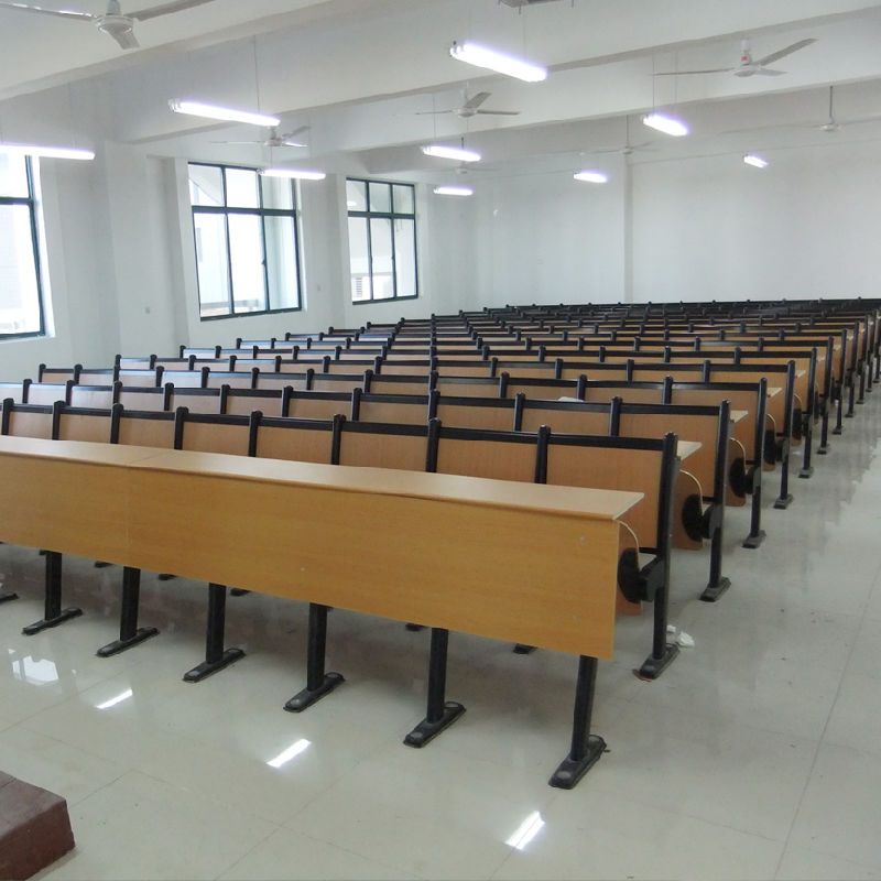 Tables and Chairs for Students, School Chair, Student Chair, School Furniture, Fixed Steel Cantilever Style Desks and Chairs Amphitheater Chair (R-6239)