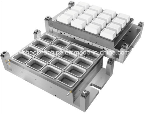 Container Mould for Various Plastic
