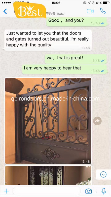 American Standard Iron Folding Doors/Bifold Doors