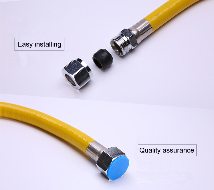 Stainless Steel Gas Flexible Hose