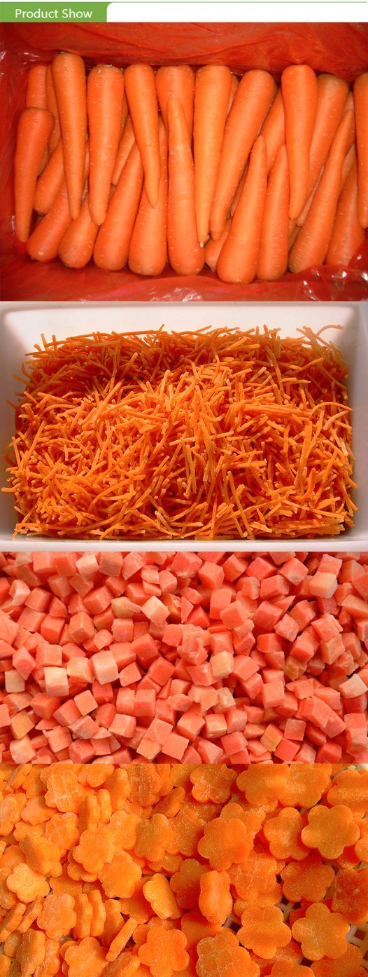 2017 New Crop Fresh Carrot