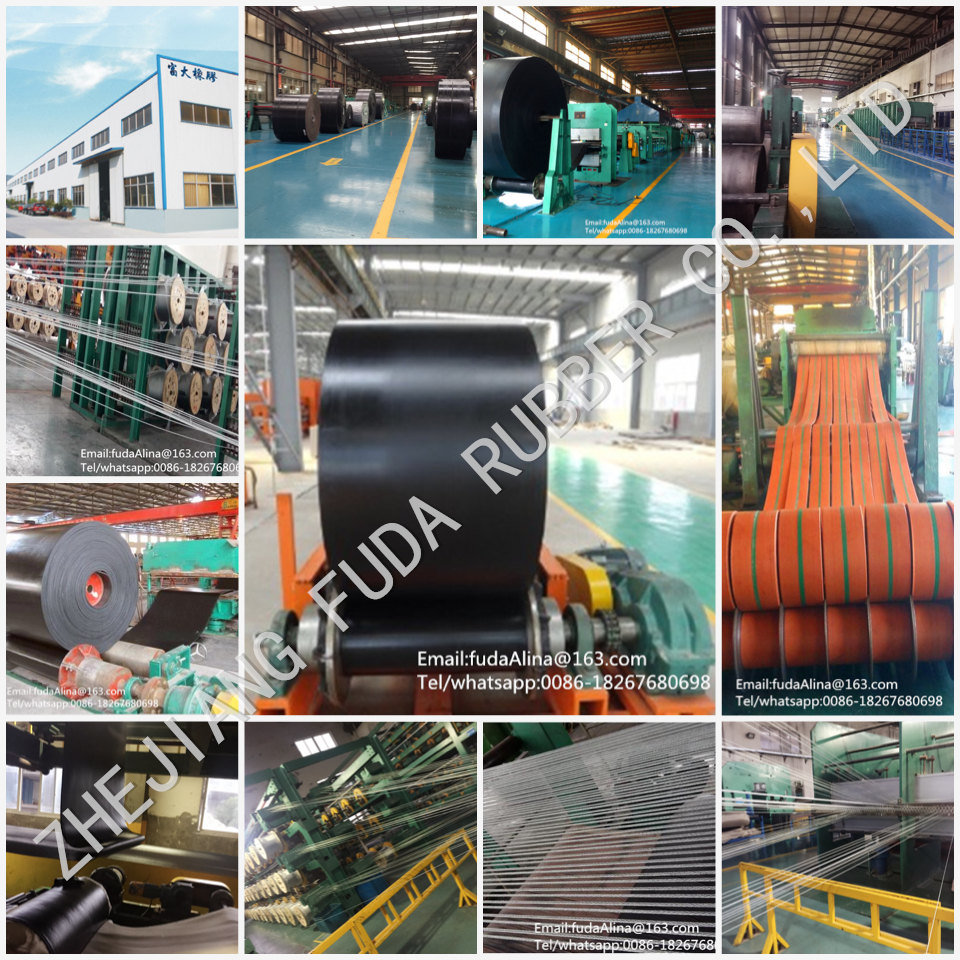 DIN Standard Widely Used Tear Resistant Nylon (NN) Conveyor Belt Price