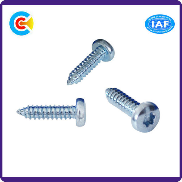 DIN7985 DIN7981 Stainless Steel Self Tapping Tox Screw