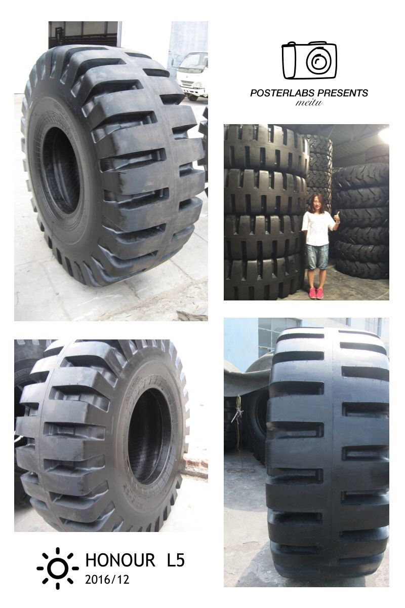 Bias Truck Tyre or Bus Tyre (an-228)