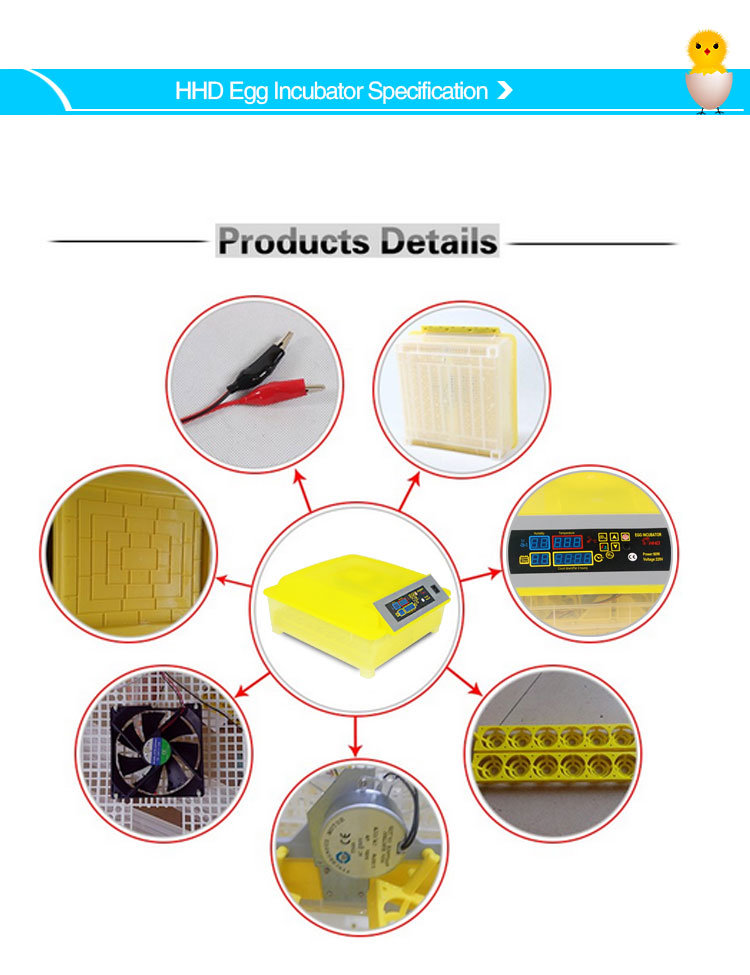 High Quality CE Approved Hatching Turkey Eggs Poultry Equipment