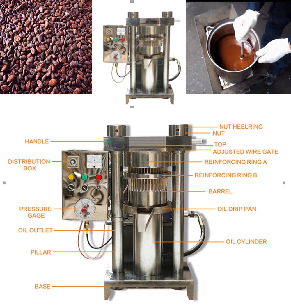 Best Sale Hydraulic Sesame Oil Press Machine and Cold Press Cocoa Butter Oil Extraction Machine