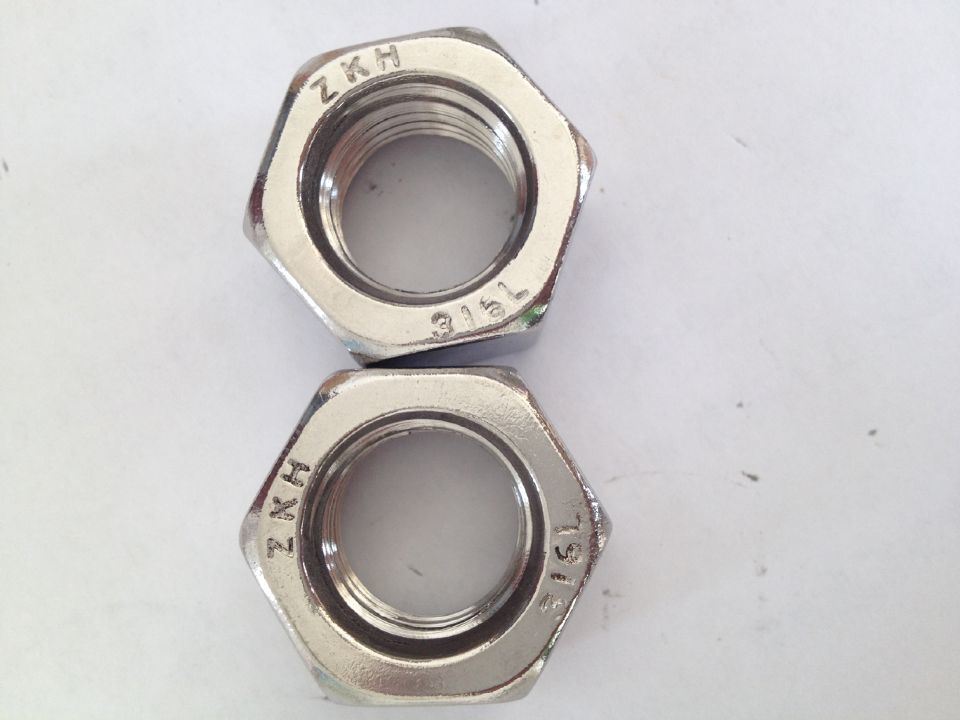 Stainless Steel Ss316L Hex Nut