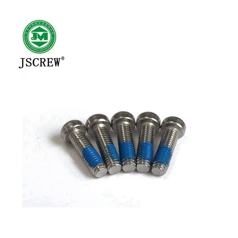 Metric Size Nylok Anti Theft Screw for Fan