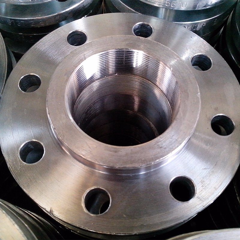 Carbon Steel / Stainless Steel / Alloy Flanges