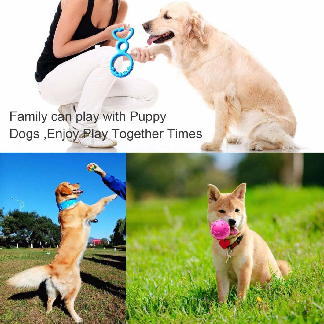 Custom Dental Durable Puppy Silicone Rubber Pet Dog Chew Toy