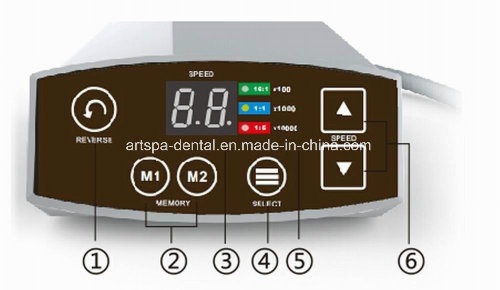 Dental LED Micro Motor Brushless C-Puma Electric Motor