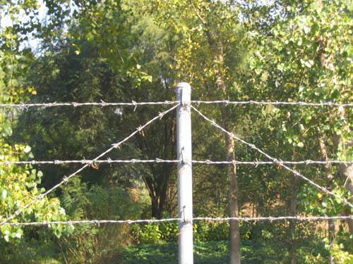 Fence, Barbed Wire