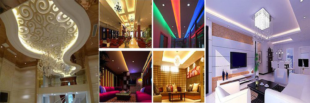 SMD5050 RGB 30LEDs IP66 Parylene Coating Waterproof LED Flexible Strip Light