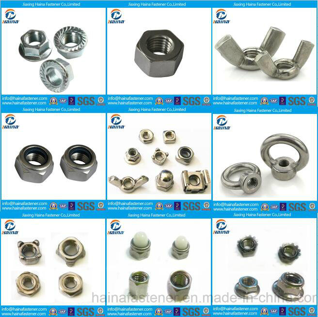 Jiaxing Haina Stainless Steel A2-70 Hex Metric Nuts