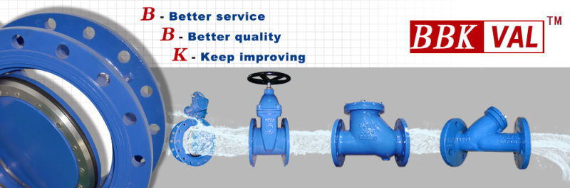 Gate Valve DIN RS Gate Valve Cast Steel Gate Valve