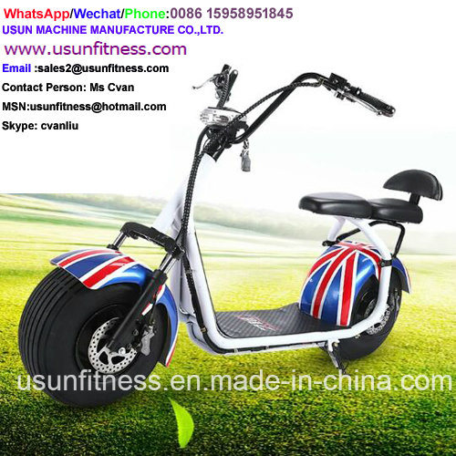 Newest Two Seat Electric Scooter 2 Wheel Fat Tyre Citycoco with Double Removable Battery