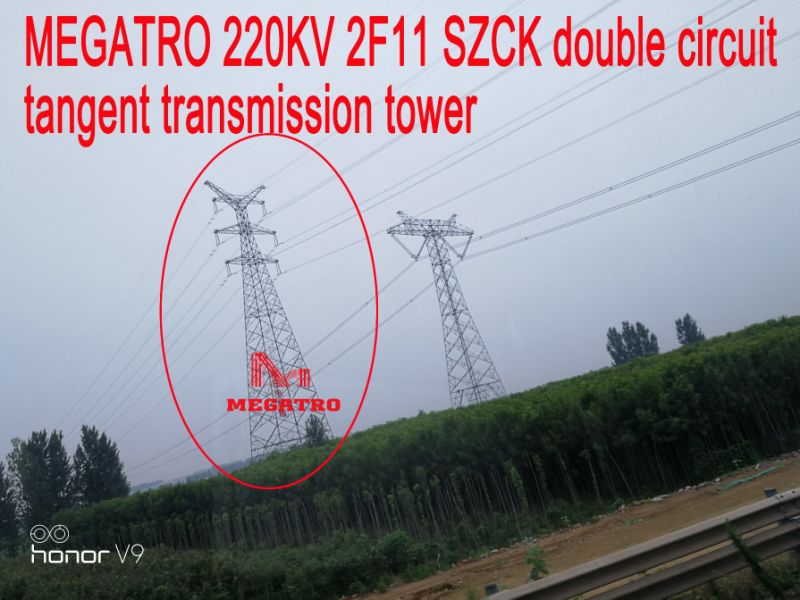 Megatro 220kv 2f11 Szck DC Suspension Transmission Steel Structure