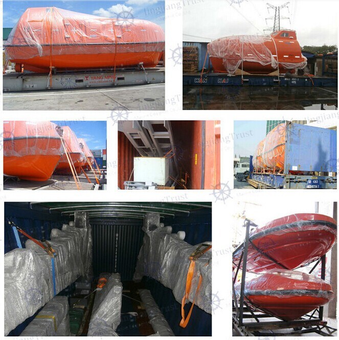 Free Fall Lifeboat, Totally Enclosed Life Boat