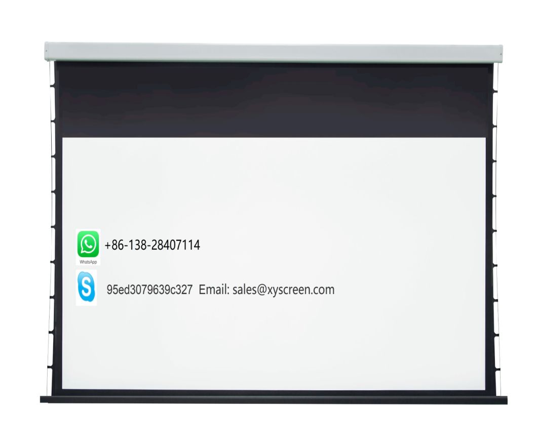 Dual Vision (front/rear) Electric Projection Screen with Ce UL FCC TUV Certificated