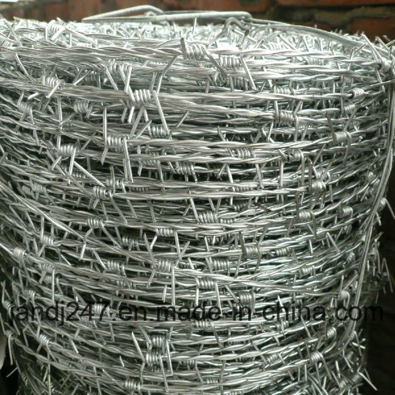 Galvanized Barbed Wire/PVC Coated Barbed Wire