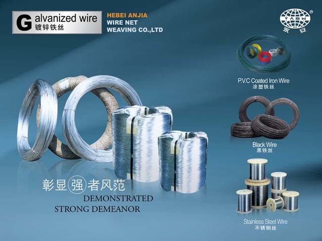 China AISI High Tensile Stainless Steel Annealed Wire & Rope Manufacturer