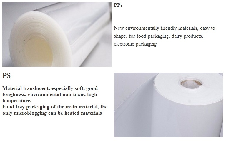 Vacuum Thermoforming Disposable Plastic Packaging Containers