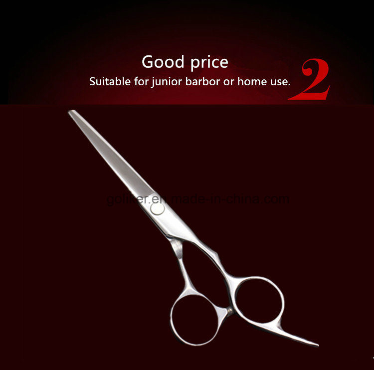 High Hardness 440c Stainless Steel Salon Hair Scissors