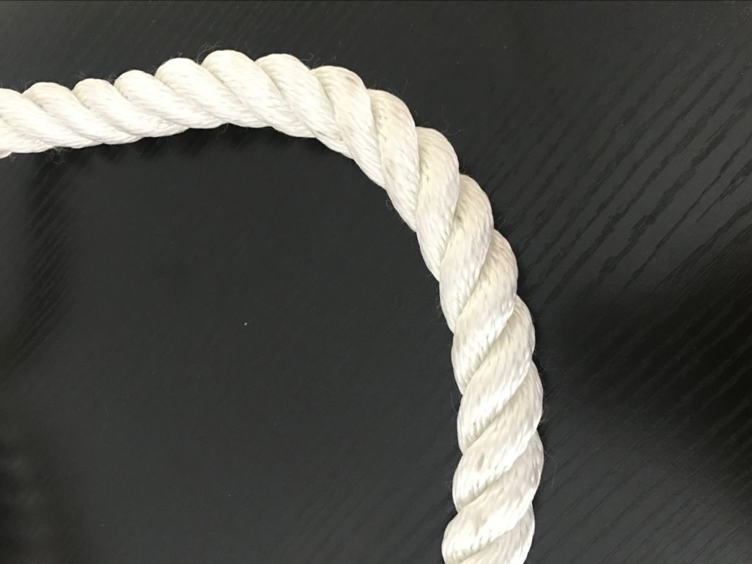 Polyester Rope with Color Strand
