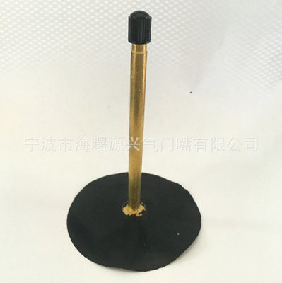 Tr442 Tire Valve, Truck Valve, Brass