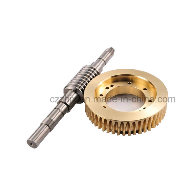 High Precision Copper Worm Gear/ Worm Wheel