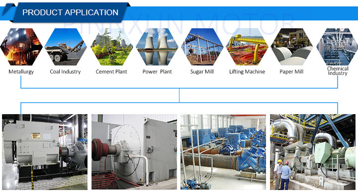 Low-Voltage Electric Asynchronous AC Motors with Squirrel-Cage Rotor