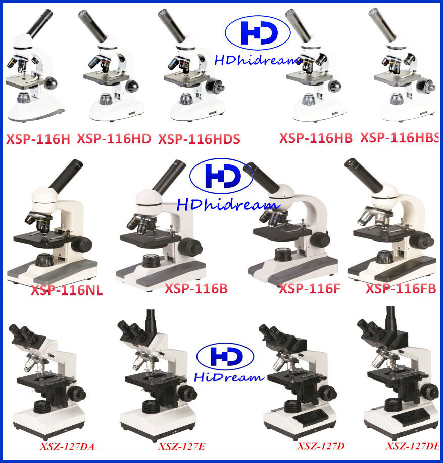 Wholesale Price Lab Compound Stereo Microscope Fluorescence Microscope