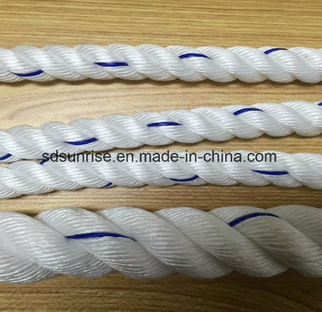 Green with Blue&Red PP Rope Ppd PE Rope