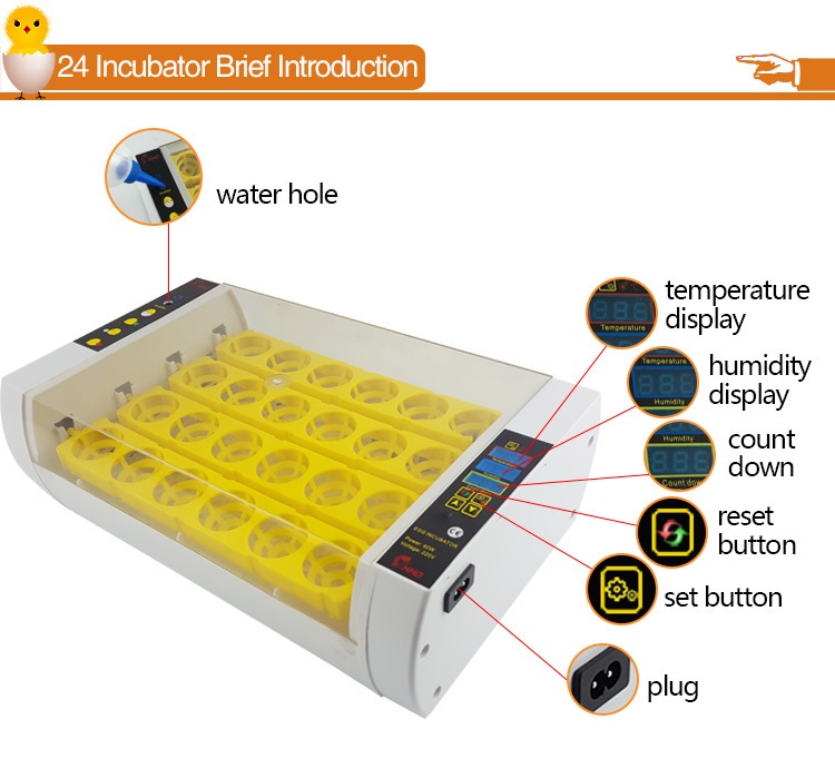 Hhd Automatic Turning Small Poultry 24 Chicken Egg Incubator