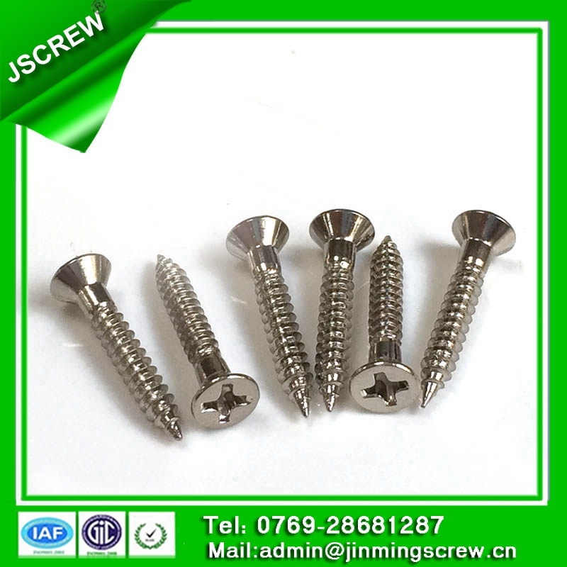 6mm Stainless Steel Countersunk Head Self Tapping Screw for Building