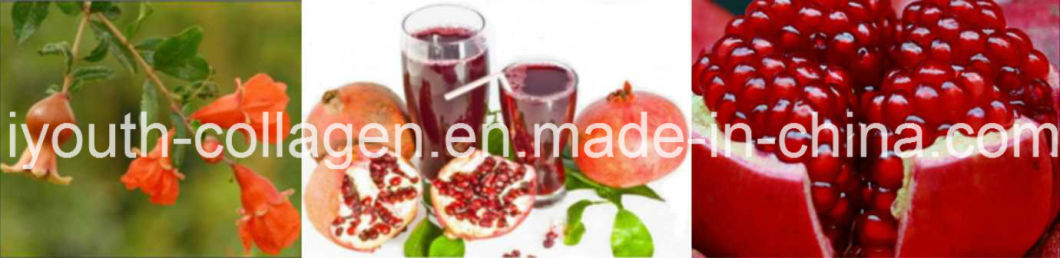 Top Wine,EU Grape Pomegranate Wine/Brut,100%Juice Brewing,Rich Anthocyanin, Amino Acids,Anticancer,Antiaging,Blood Tonic,Prevention of Ischemic,Aphrodisiac Wine