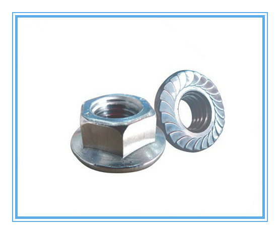 M3-M56 of Hex Nut with Hexagon Head Flange