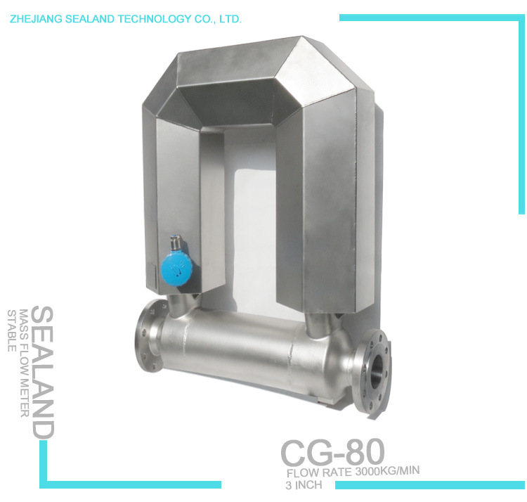 Industrial Energy Coriolis Mass Flowmeter with High Flow Rate 3000kg/Min