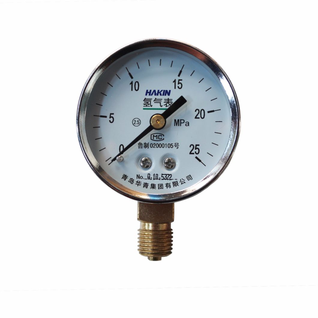 Most Popular Pressure Gauge for Hydrogen with High Quality