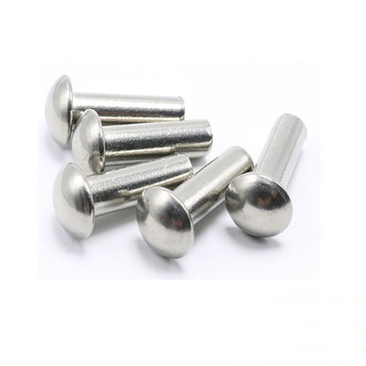 Custom Stainless Steel Flat Round Head Solid Rivet