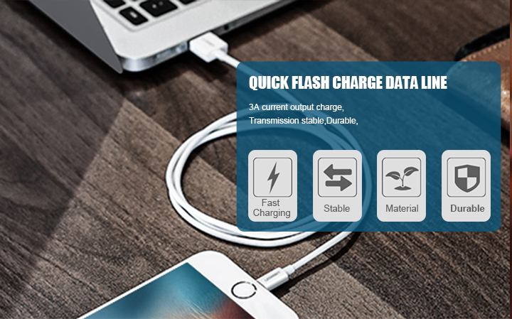 Mobile Phone Accessory Fast Charging USB Data Lightning Cable for iPhone X