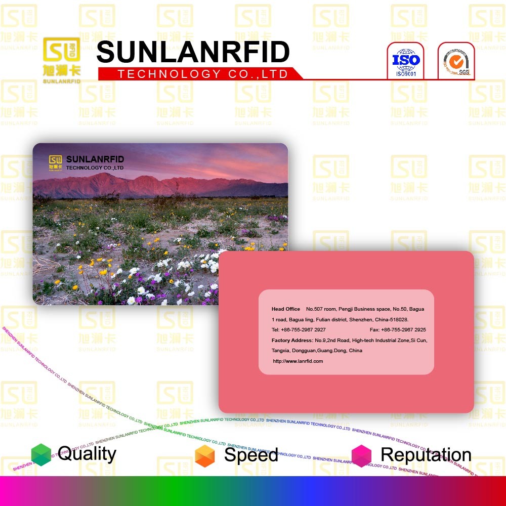 Sunlanrfid Irregular Shape Nfc Epoxy Smart Card